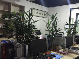 橙樹網(wǎng)絡辦公環(huán)境展示